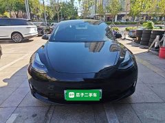 Tesla Model 3 Standard Range RWD Upgrade 3D6 - ფოტო 2