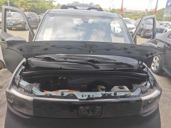 Wuling Hongguang MINIEV 2020 Zizai Edition LFP Battery - ფოტო 19