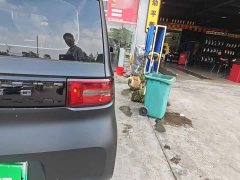 Wuling Hongguang MINIEV 2020 Zizai Edition LFP Battery - ფოტო 7