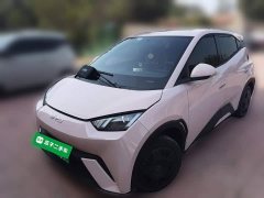 BYD Seagull Glory Edition 305km Vitality Version - ფოტო 1