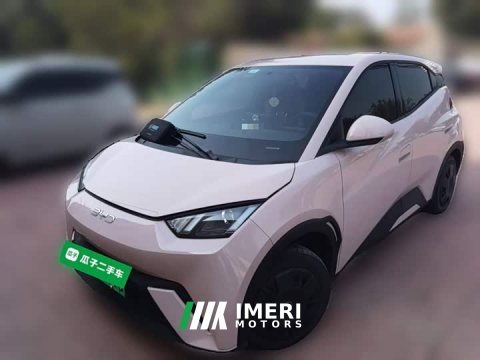 2024 BYD Seagull Glory Edition 305km Vitality Version - ავტომობილი ჩინეთიდან