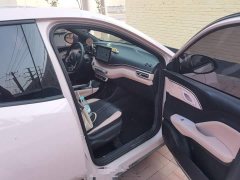 BYD Seagull Glory Edition 305km Vitality Version - ფოტო 17