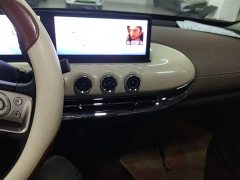 Wuling Binguo 2023 410km Lingxi Premium Edition - ფოტო 8