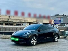 Tesla Model Y Rear-Wheel Drive - ფოტო 1