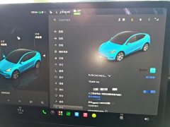 Tesla Model Y Rear-Wheel Drive - ფოტო 11