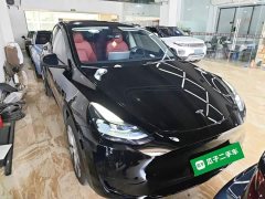 Tesla Model Y Rear-Wheel Drive - ფოტო 3