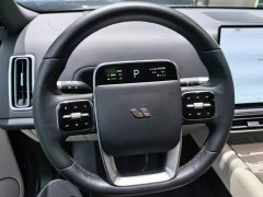 Li Auto L9 Max - ფოტო 10