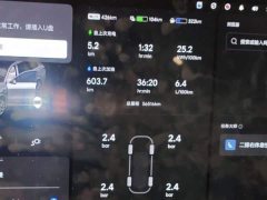 Li Auto L9 Max - ფოტო 11