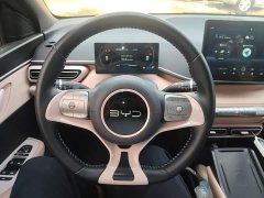 BYD Seagull Glory Edition 305km Freedom Version - ფოტო 10