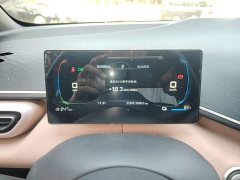 BYD Seagull Glory Edition 305km Freedom Version - ფოტო 11
