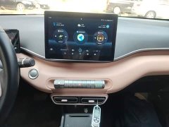 BYD Seagull Glory Edition 305km Freedom Version - ფოტო 12
