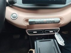 BYD Seagull Glory Edition 305km Freedom Version - ფოტო 13