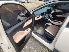 BYD Seagull Glory Edition 305km Freedom Version - ფოტო 15