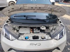 BYD Seagull Glory Edition 305km Freedom Version - ფოტო 19