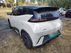 BYD Seagull Glory Edition 305km Freedom Version - ფოტო 4