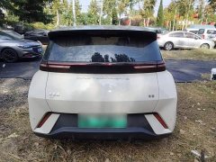 BYD Seagull Glory Edition 305km Freedom Version - ფოტო 5