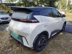 BYD Seagull Glory Edition 305km Freedom Version - ფოტო 6
