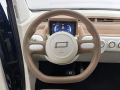 FAW Besturn Xiaoma 2026 222km Shining Edition - ფოტო 11