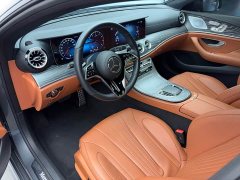 Mercedes-Benz CLS 300 Luxury - ფოტო 10