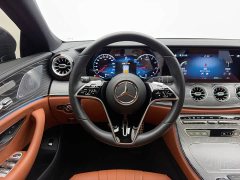 Mercedes-Benz CLS 300 Luxury - ფოტო 12