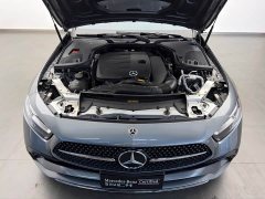 Mercedes-Benz CLS 300 Luxury - ფოტო 16