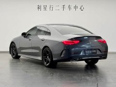 Mercedes-Benz CLS 300 Luxury - ფოტო 4