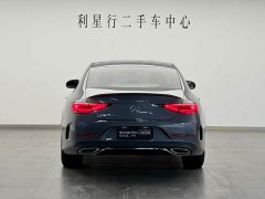 Mercedes-Benz CLS 300 Luxury - ფოტო 6