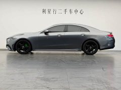 Mercedes-Benz CLS 300 Luxury - ფოტო 8