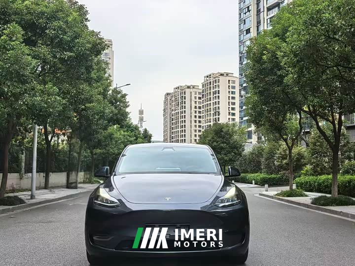 Tesla Model Y Rear-Wheel Drive