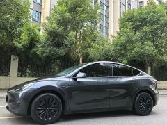 Tesla Model Y Rear-Wheel Drive - ფოტო 2