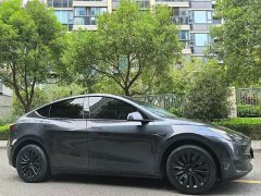 Tesla Model Y Rear-Wheel Drive - ფოტო 3