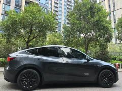 Tesla Model Y Rear-Wheel Drive - ფოტო 7