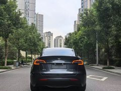 Tesla Model Y Rear-Wheel Drive - ფოტო 8
