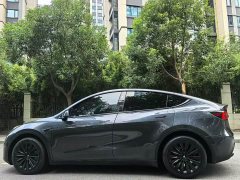 Tesla Model Y Rear-Wheel Drive - ფოტო 9