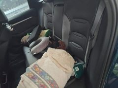 Geely Xingrui 2.0T Diesel Exclusive Cyan Green Edition - ფოტო 18