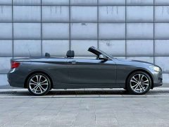 BMW 2 Series (Imported) 2019 225i Convertible Sports Design Package - ფოტო 14