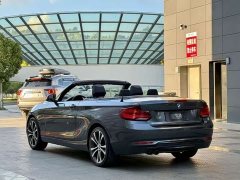 BMW 2 Series (Imported) 2019 225i Convertible Sports Design Package - ფოტო 7