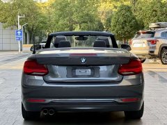 BMW 2 Series (Imported) 2019 225i Convertible Sports Design Package - ფოტო 8