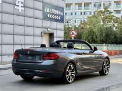 BMW 2 Series (Imported) 2019 225i Convertible Sports Design Package - ფოტო 9