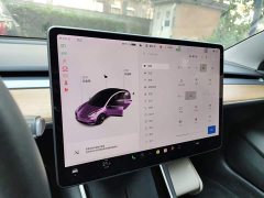 Tesla Model 3 2020 Facelift Standard Range RWD Upgrade - ფოტო 12