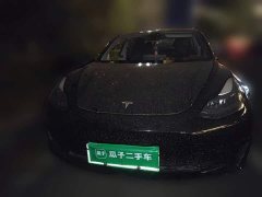 Tesla Model 3 2022 Rear-Wheel Drive - ფოტო 2