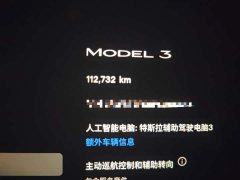 Tesla Model 3 2022 Rear-Wheel Drive - ფოტო 8