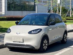 Wuling Binguo 333km Joy Edition - ფოტო 1