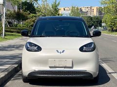 Wuling Binguo 333km Joy Edition - ფოტო 2