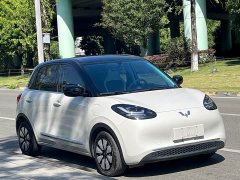 Wuling Binguo 333km Joy Edition - ფოტო 3