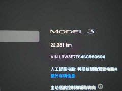 Tesla Model 3 Rear-Wheel Drive - ფოტო 17