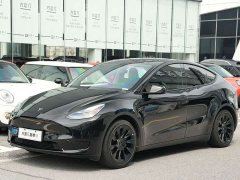 Tesla Model Y Rear-Wheel Drive - ფოტო 1