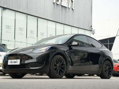 Tesla Model Y Rear-Wheel Drive - ფოტო 2