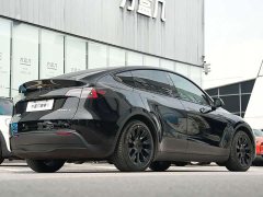 Tesla Model Y Rear-Wheel Drive - ფოტო 4