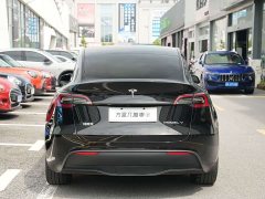 Tesla Model Y Rear-Wheel Drive - ფოტო 5